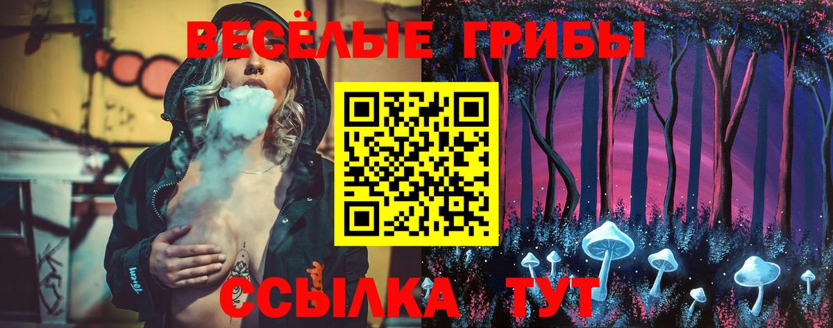 Псилоцибиновые грибы Cubensis Березники
